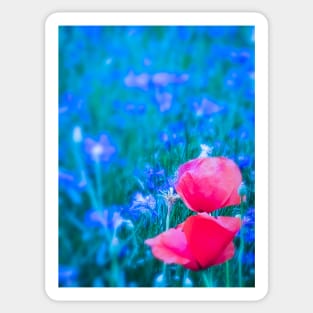 Poppies Sticker